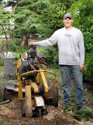 Stump Grinding, Tree Masters Tree Service